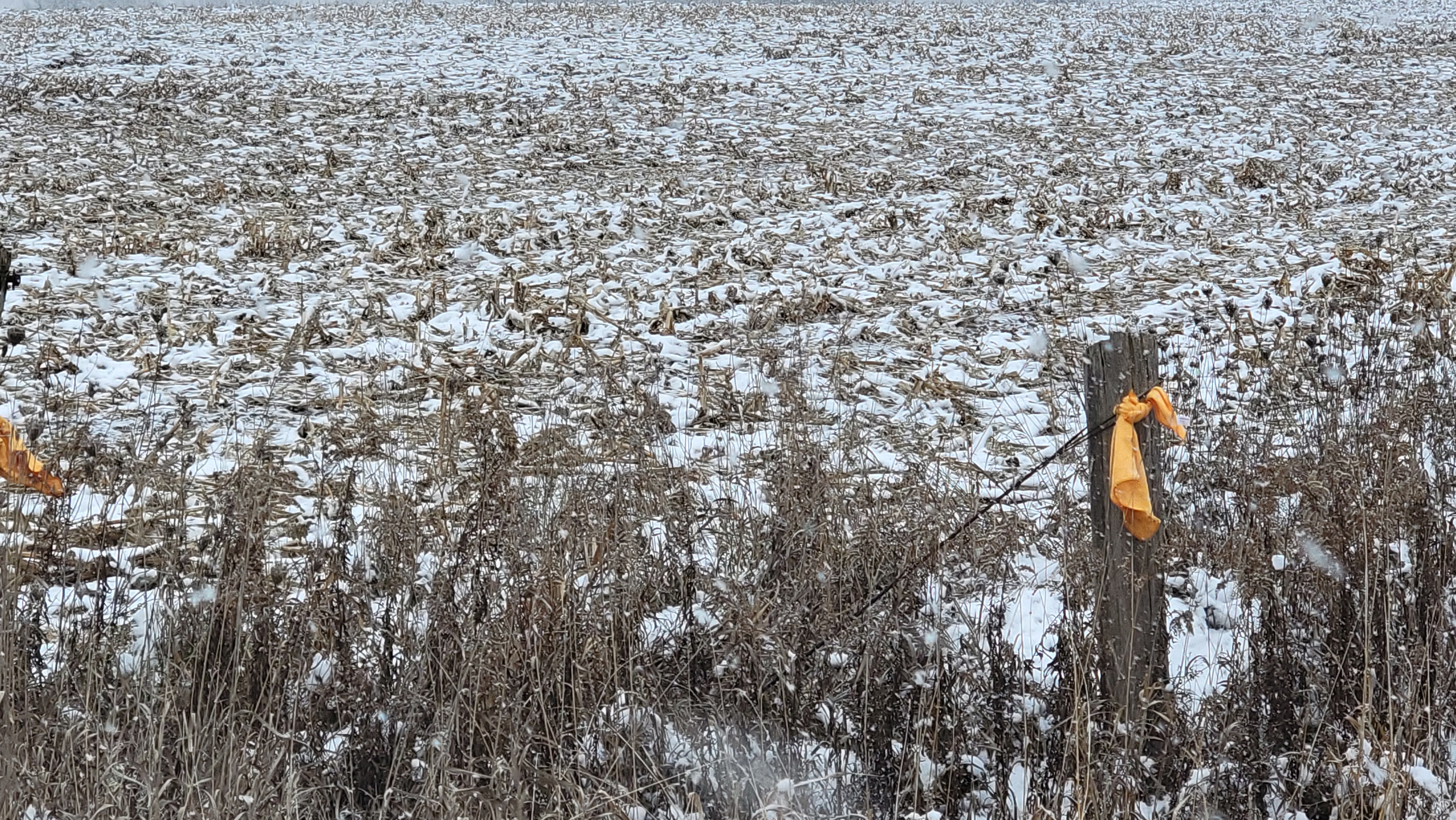 Vacant Land for Place of Worship preview 10